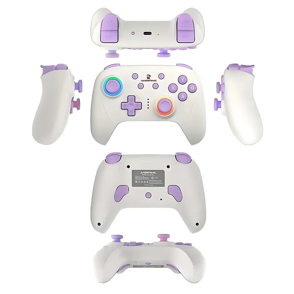 Design ergonomique et esthétique de la ANBERNIC RG P01 Blanc