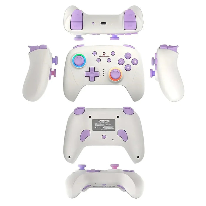 Hall-Effekt für rund dreißig Euro — ANBERNIC RG P01 – plattformübergreifender Gaming-Controller mit RGB