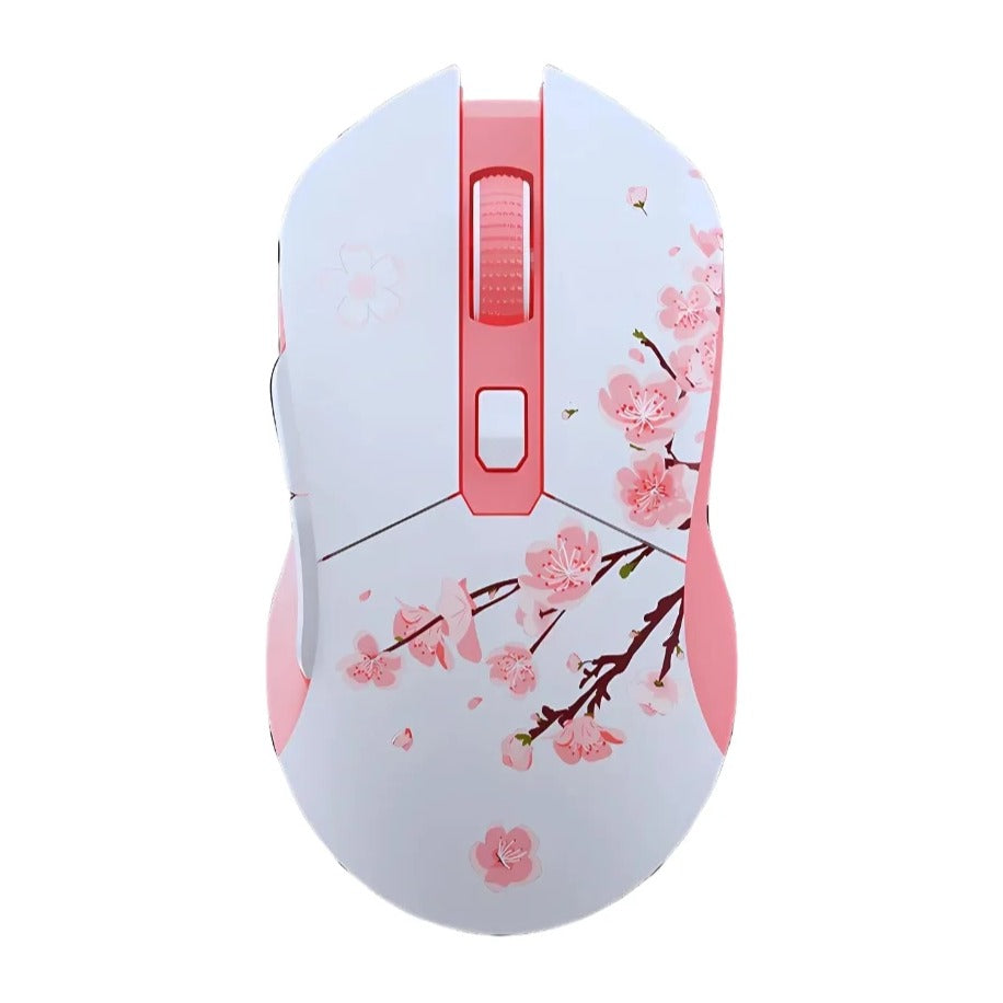 Souris gamer dareu EM901X vue avant